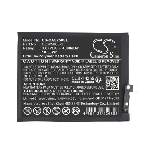 Batterie  cat ccw5000 1